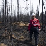 Le Canada connaît une saison des feux particulièrement forte cette année.